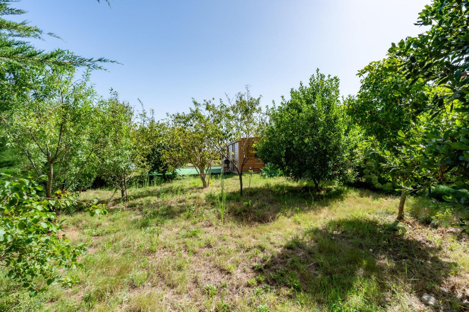 Finca en Venta en Los Realejos