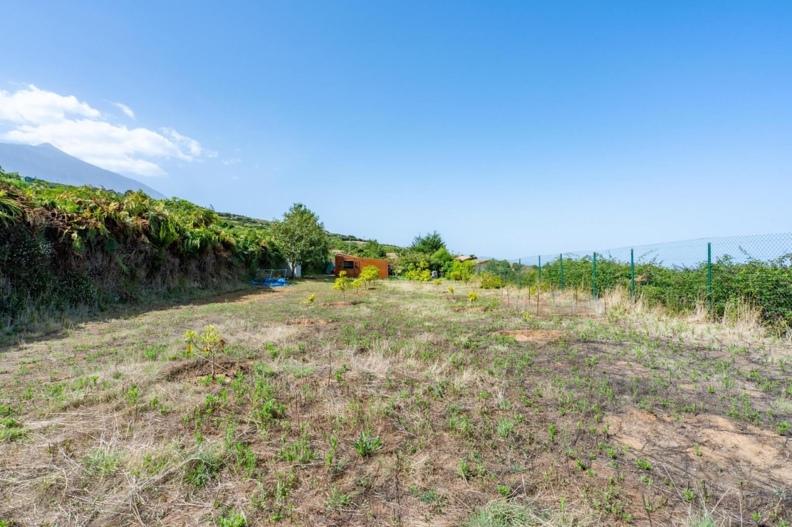 Finca en Venta en Los Realejos