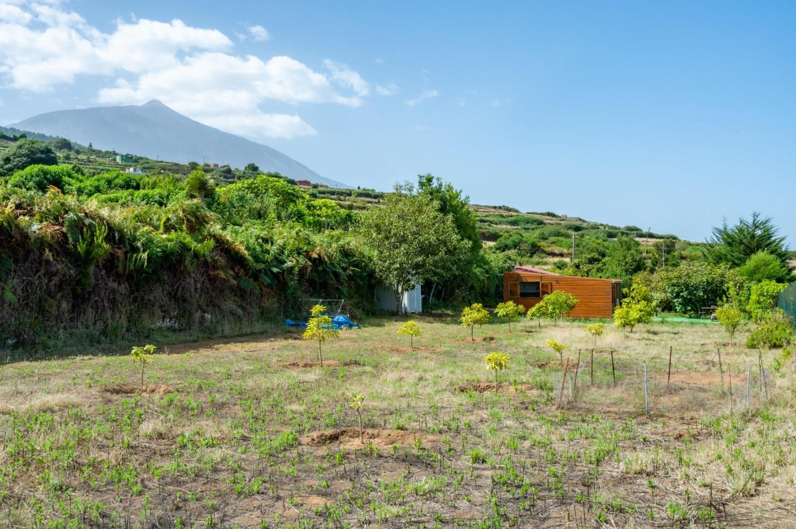 Finca en Venta en Los Realejos