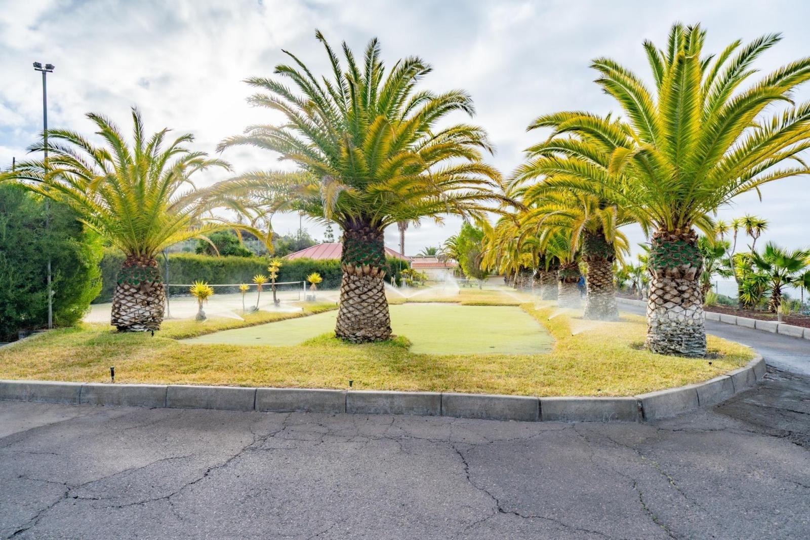 Hotel for Sale in Guía de Isora