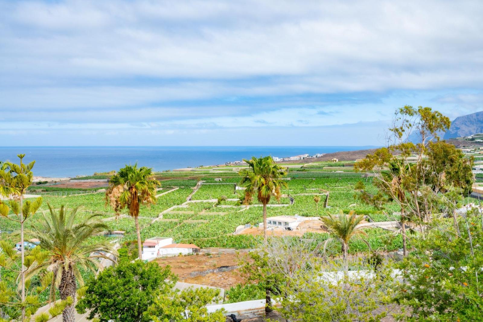 Hotel for Sale in Guía de Isora