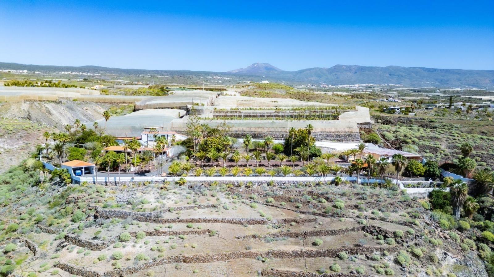 Hotel for Sale in Guía de Isora