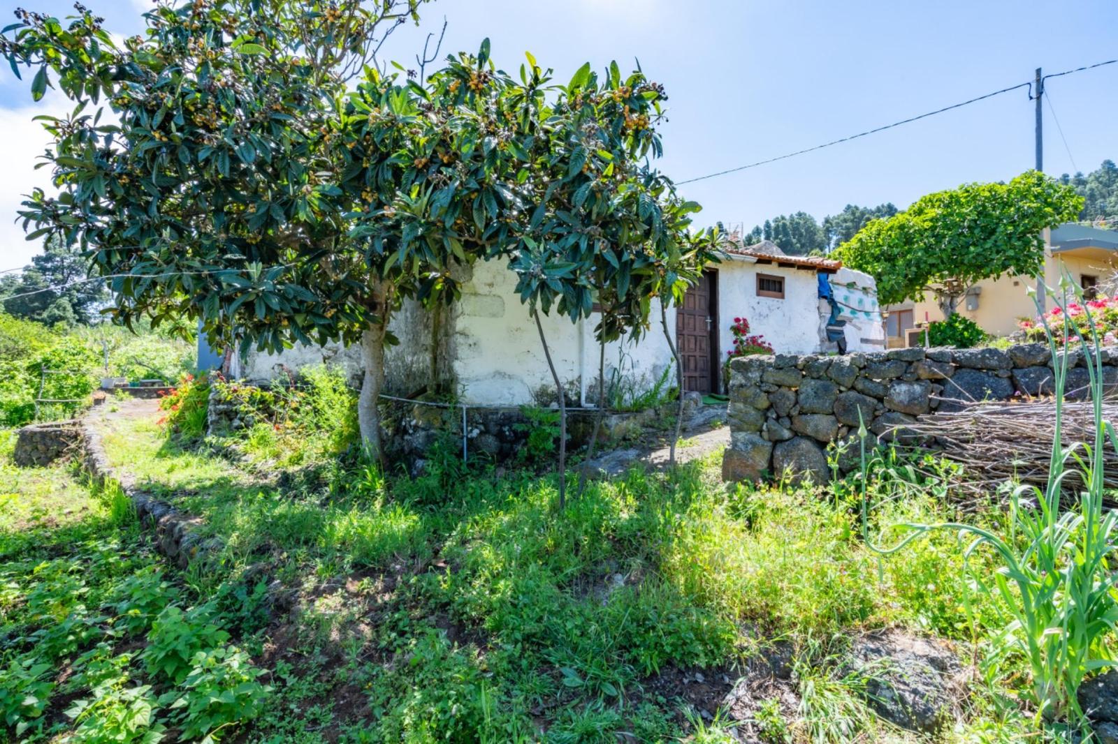 Casa en Venta en Icod de los Vinos