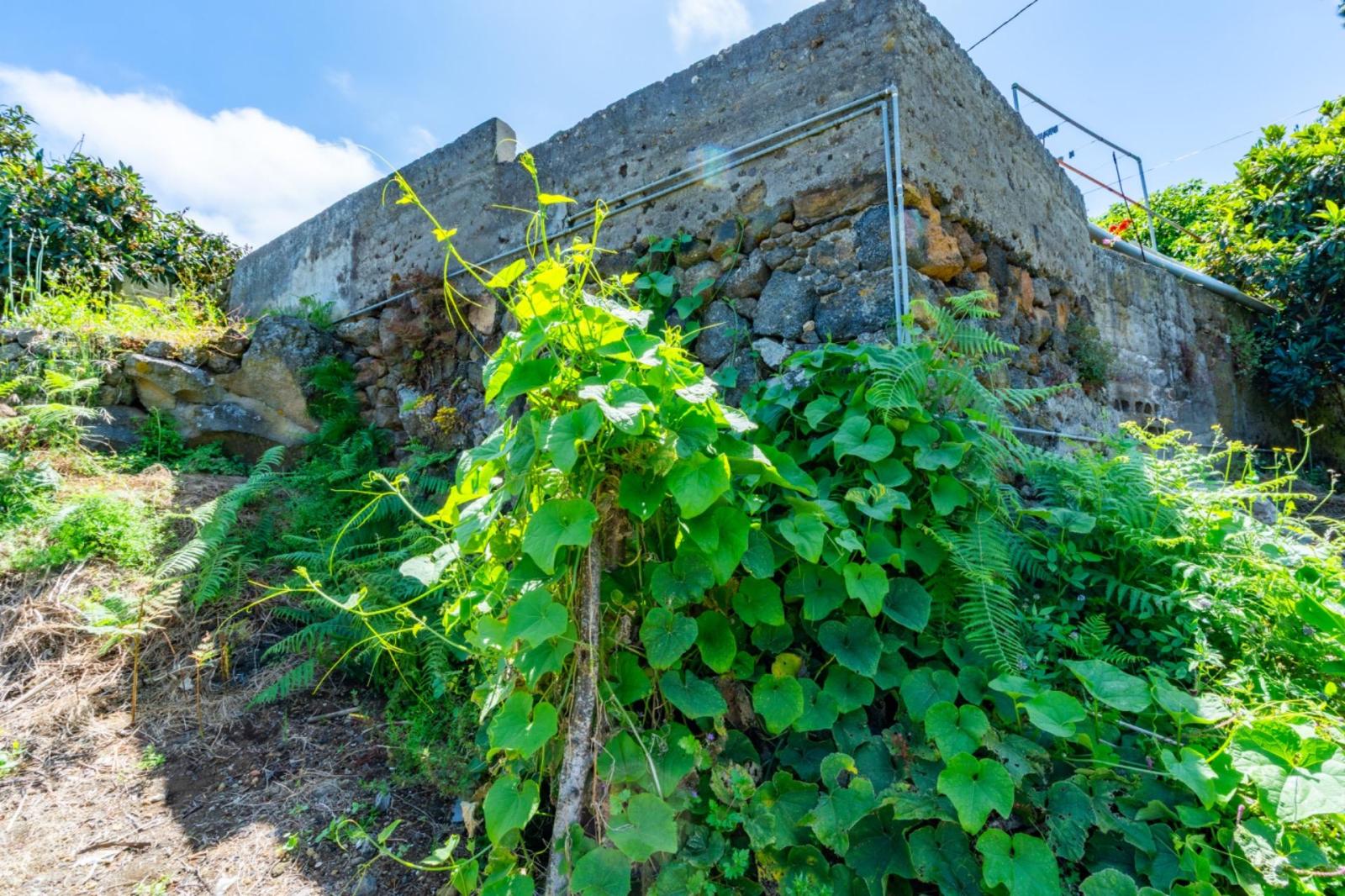 Casa en Venta en Icod de los Vinos