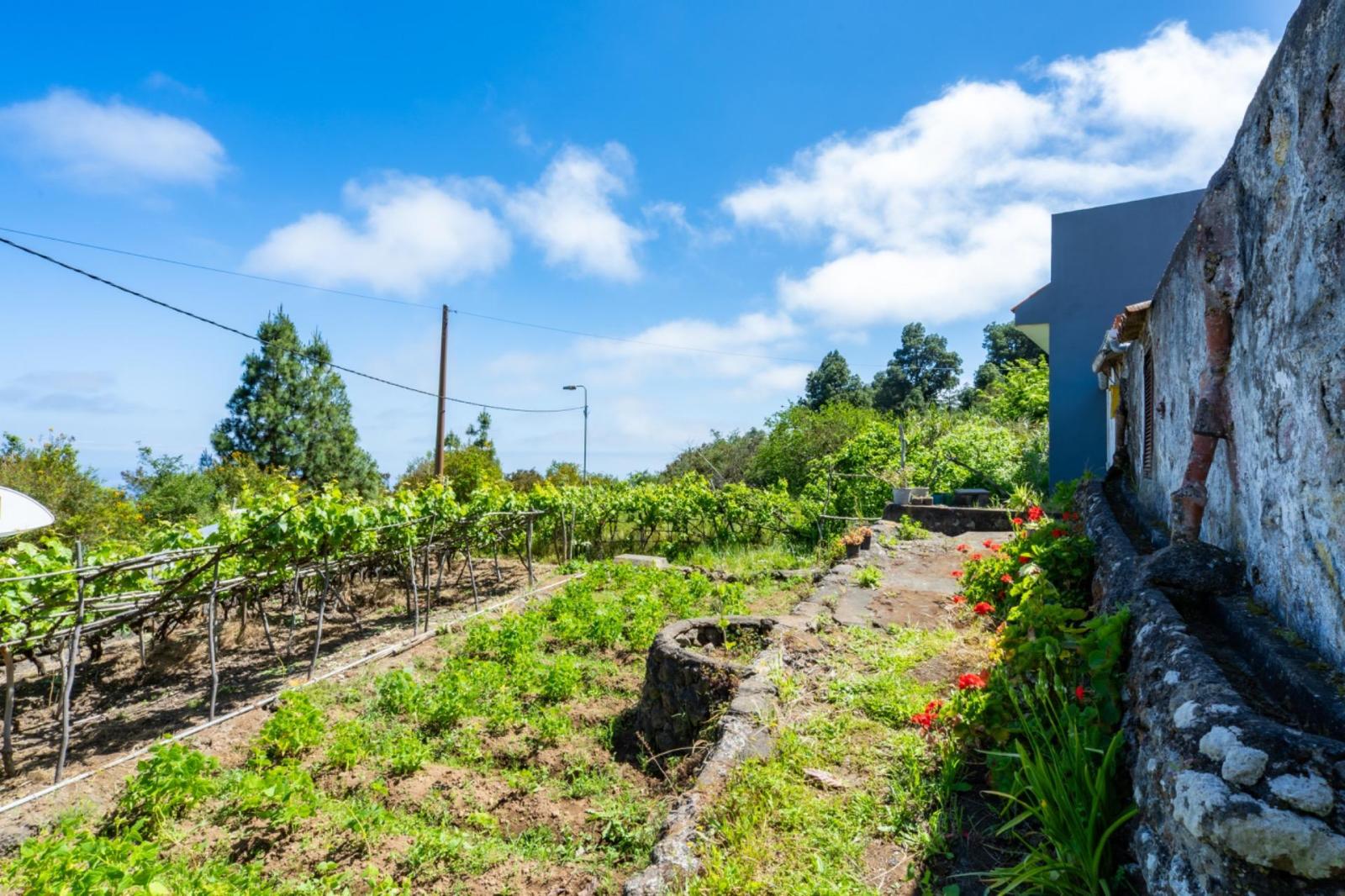 Casa en Venta en Icod de los Vinos