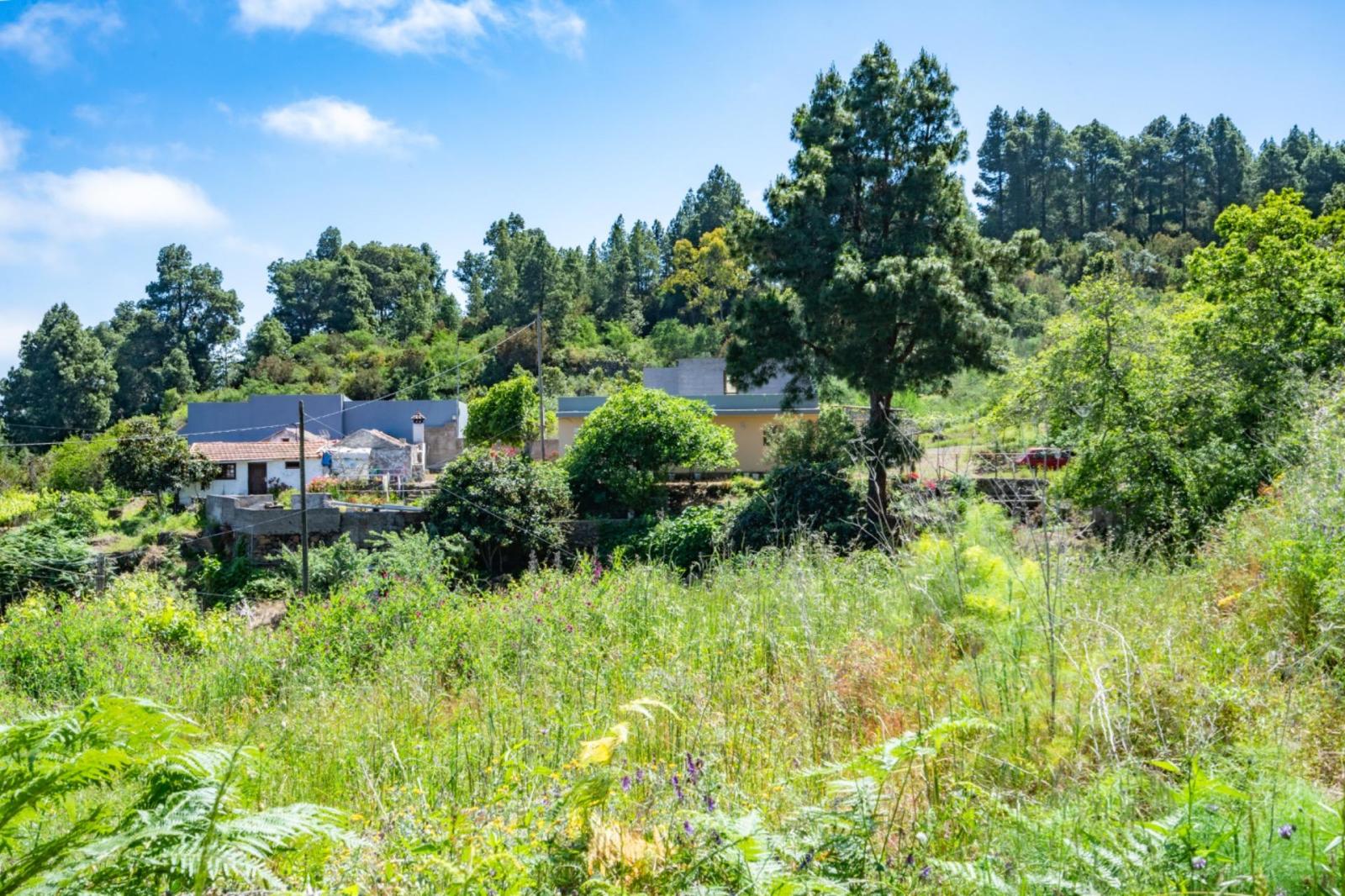Casa en Venta en Icod de los Vinos