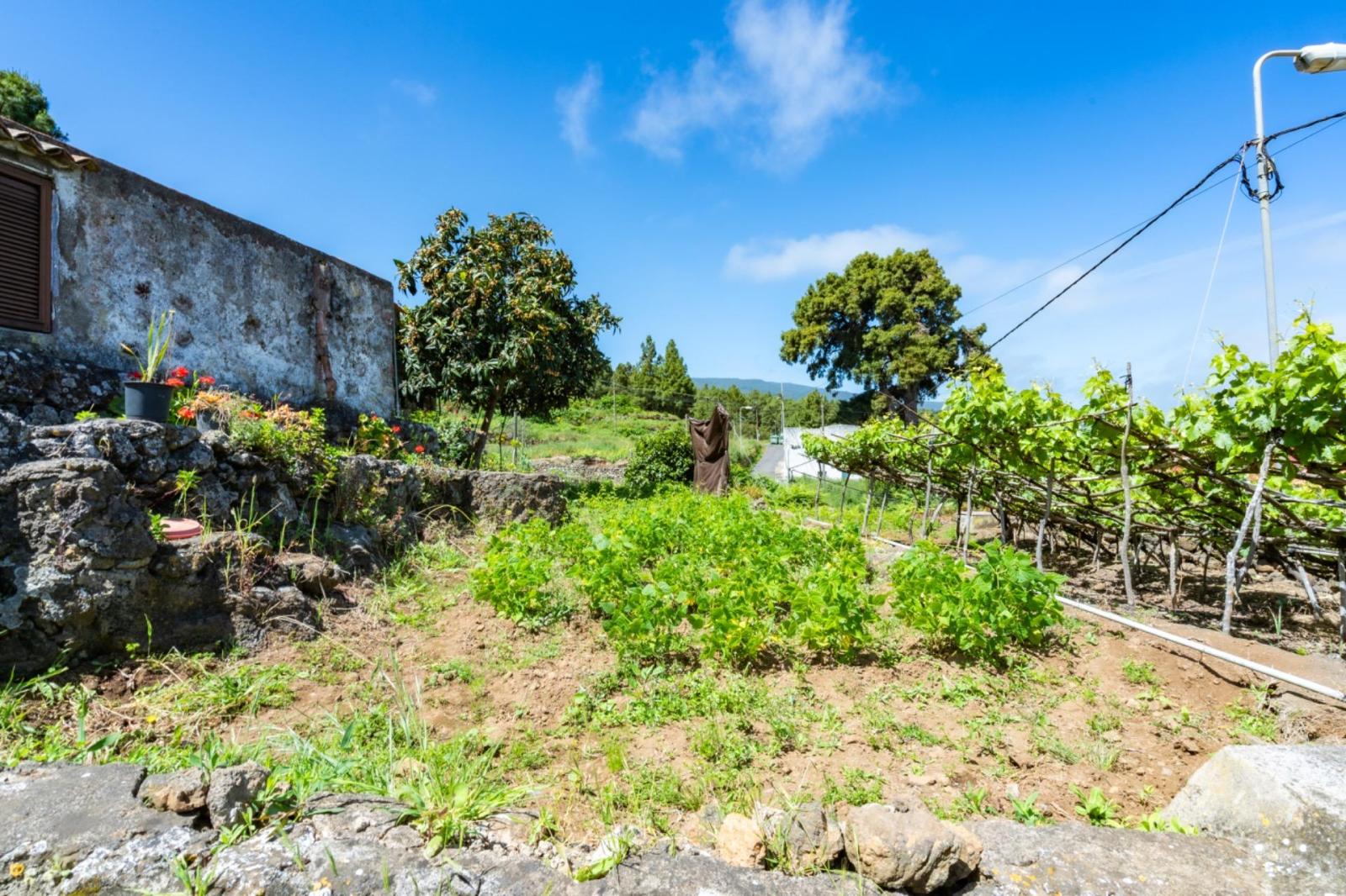 Casa en Venta en Icod de los Vinos