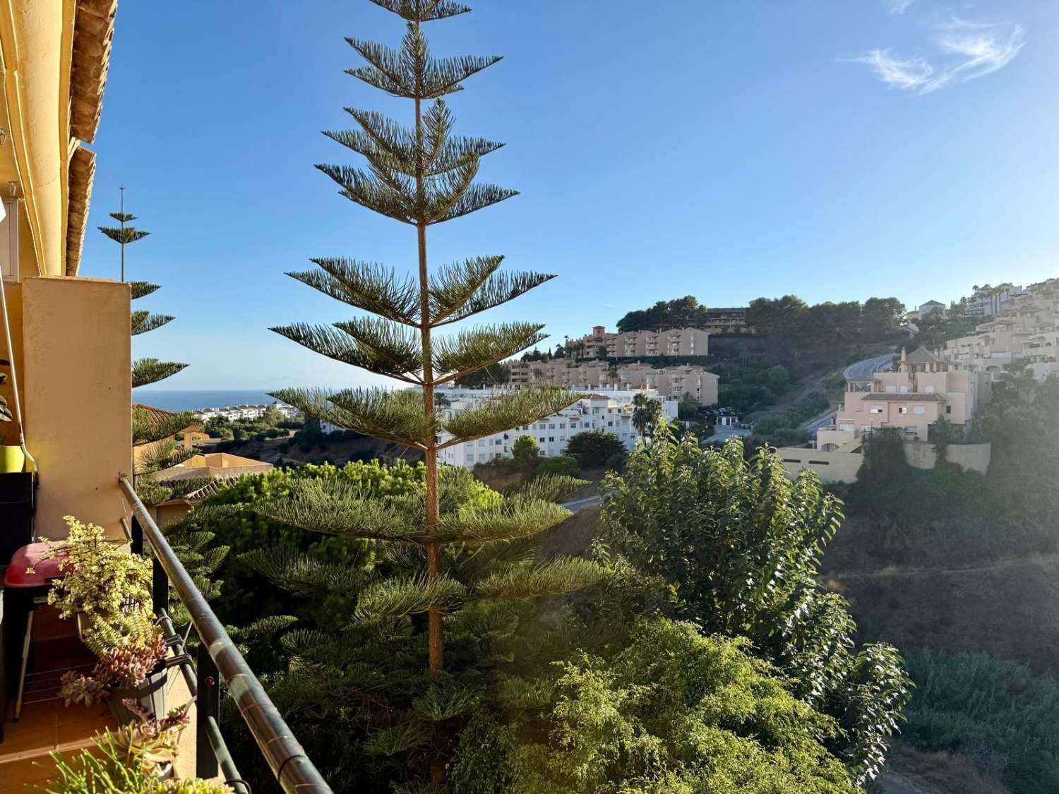 Flat for Sale in Mijas