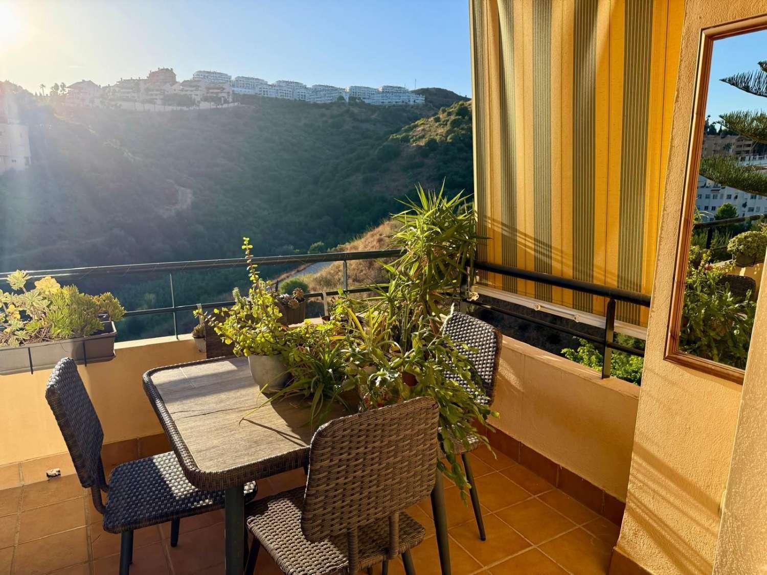 Flat for Sale in Mijas