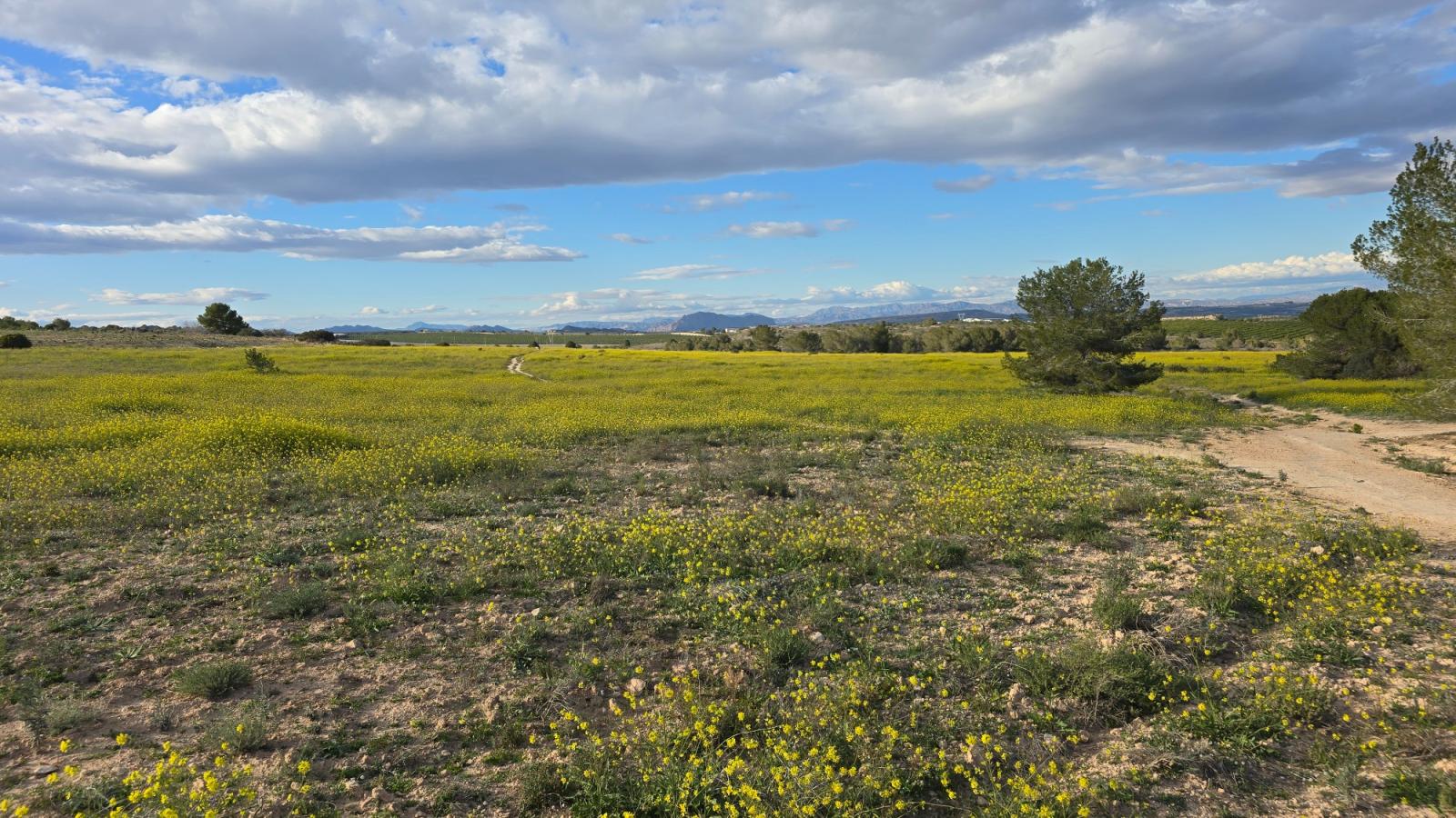 Apartamento en Venta en Orihuela