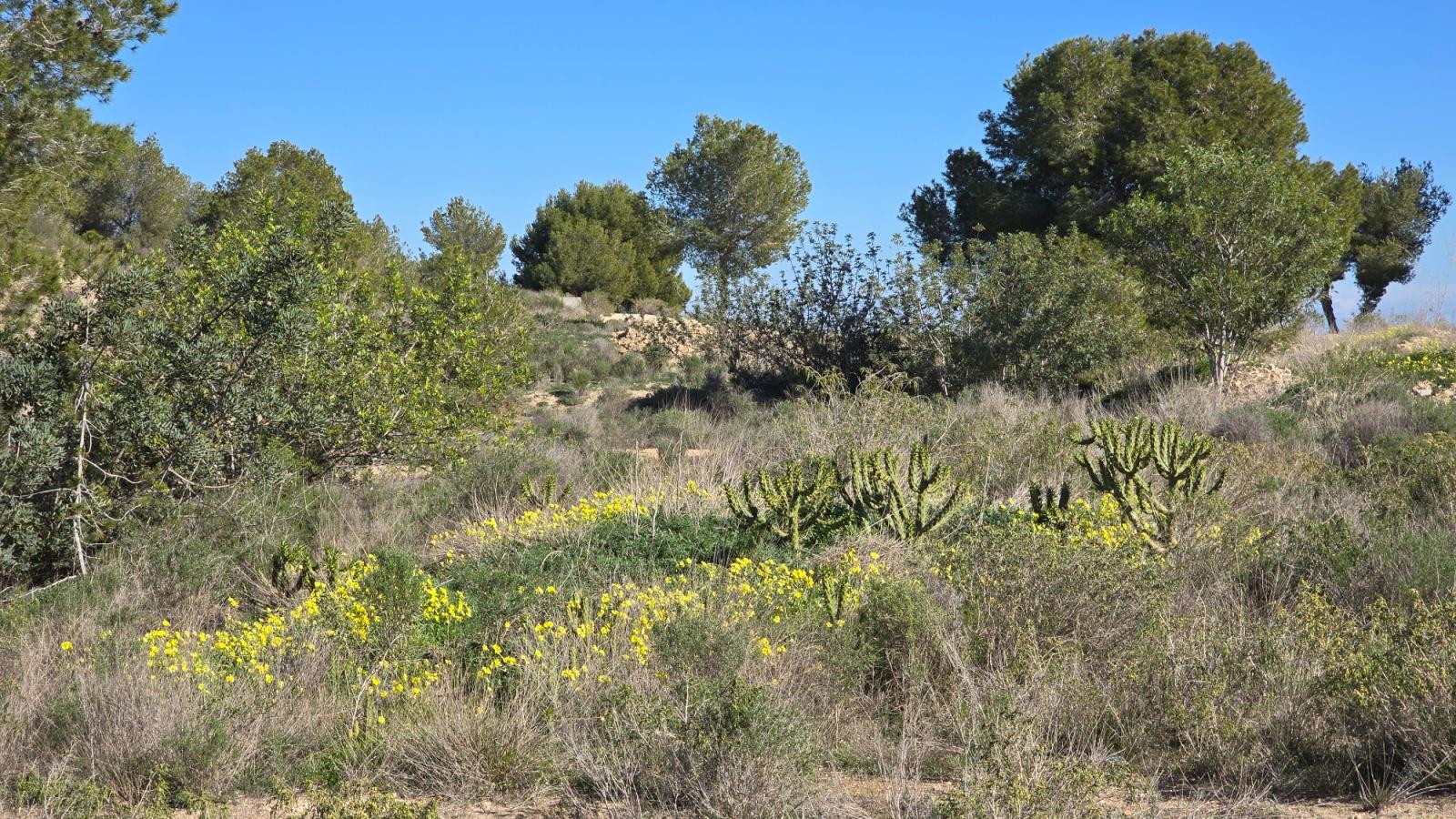 Apartamento en Venta en Orihuela