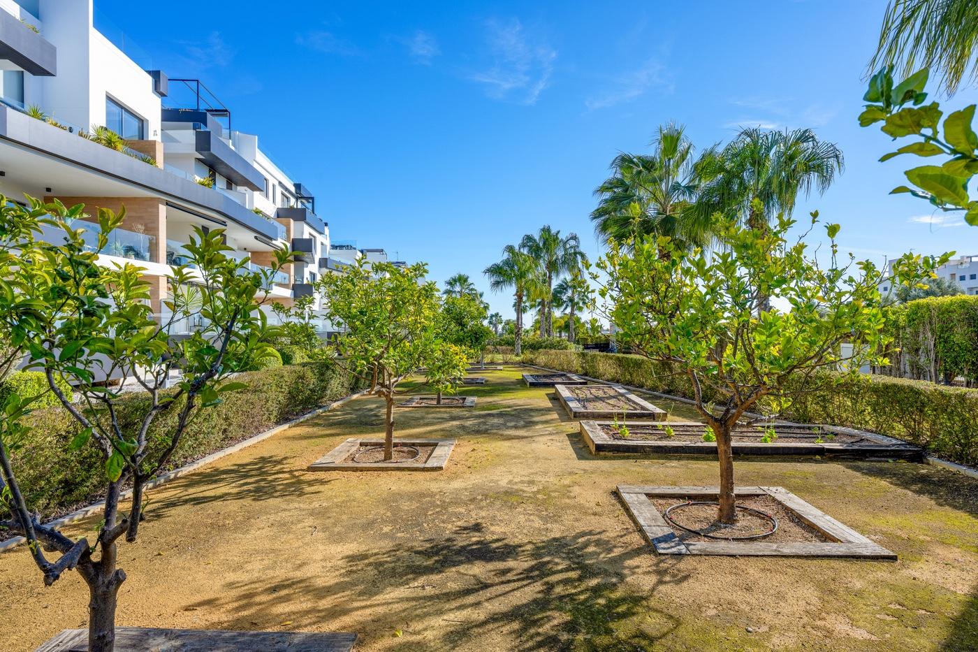 Penthouse for Sale in Orihuela