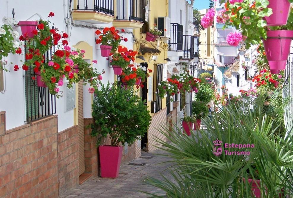 Penthouse for Sale in Estepona
