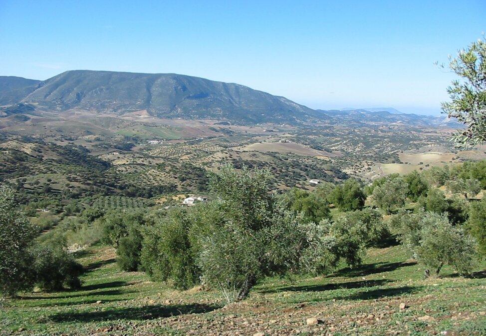 Villa for Sale in El Gastor