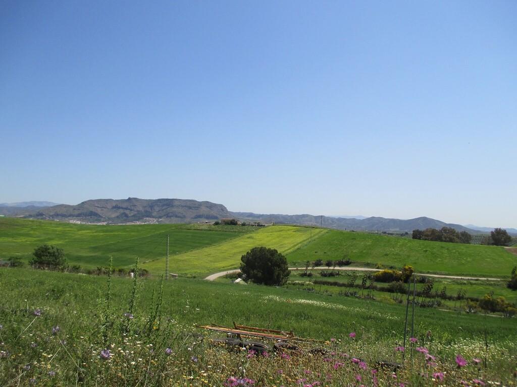Villa for Sale in Coín