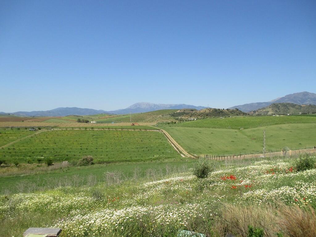 Villa for Sale in Coín