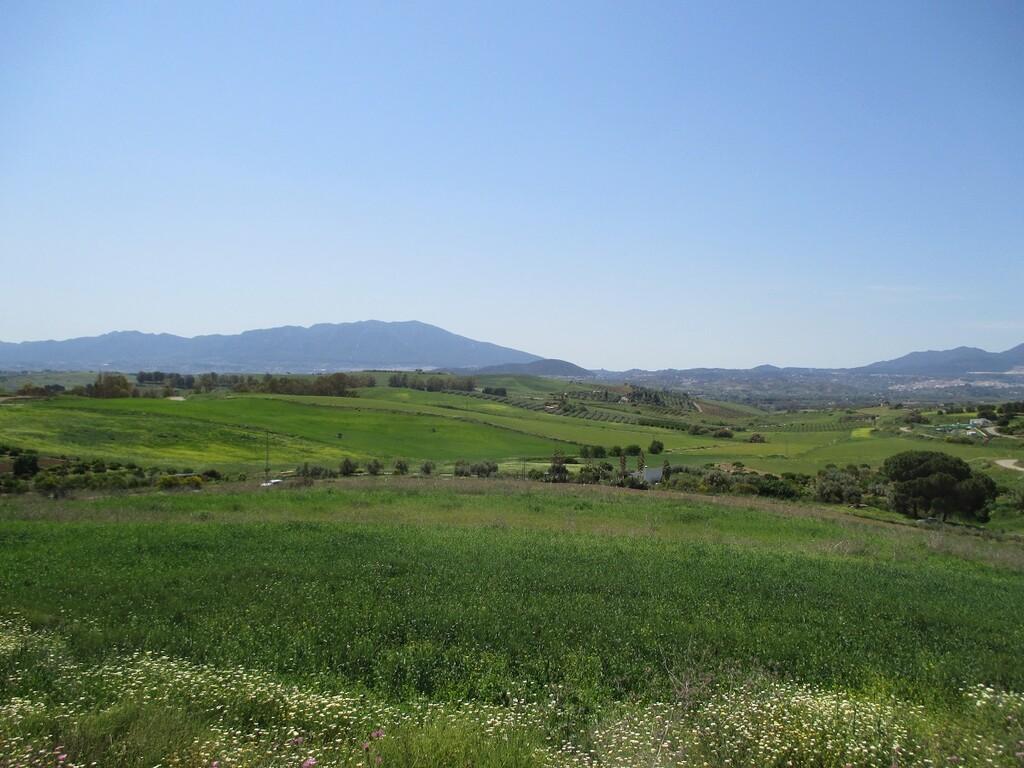 Villa for Sale in Coín