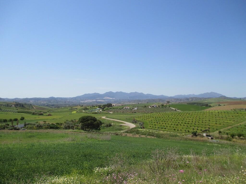 Villa for Sale in Coín