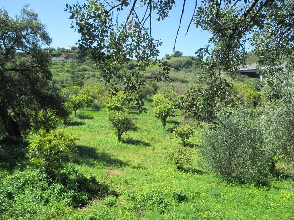 Villa en Venta en Estepona