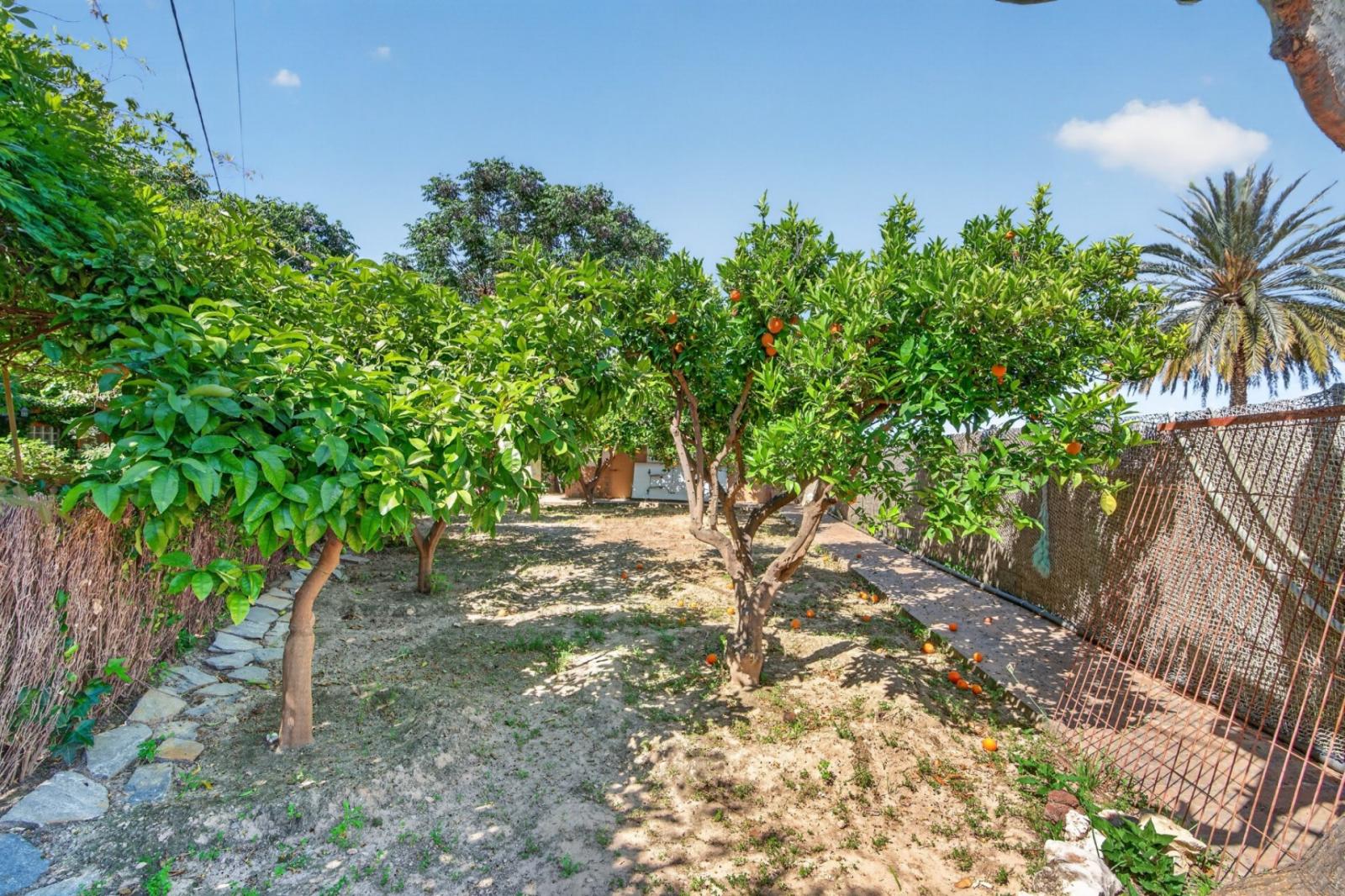 Villa en Venta en Orihuela