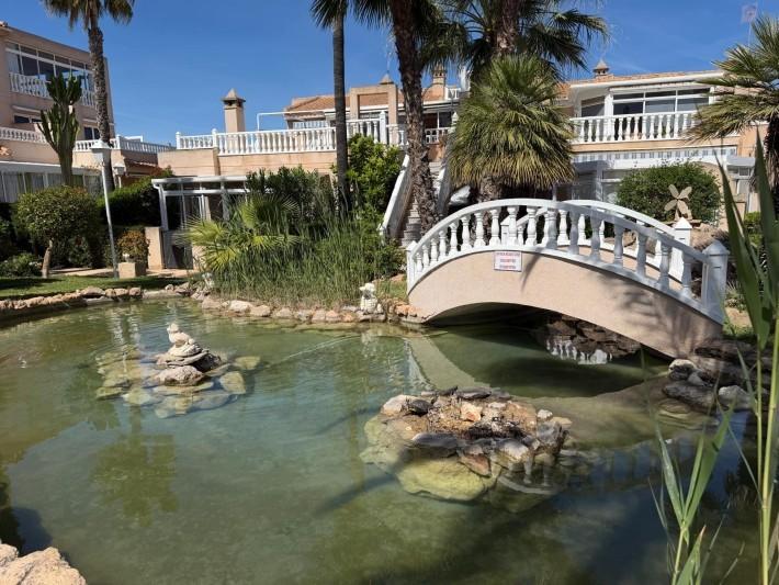 Pareado en Venta en Orihuela