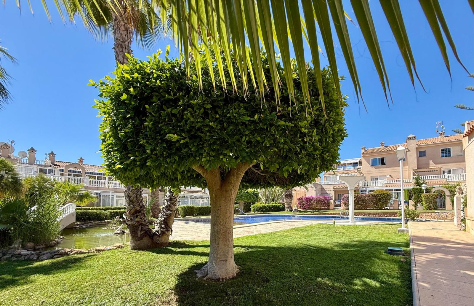 Pareado en Venta en Orihuela
