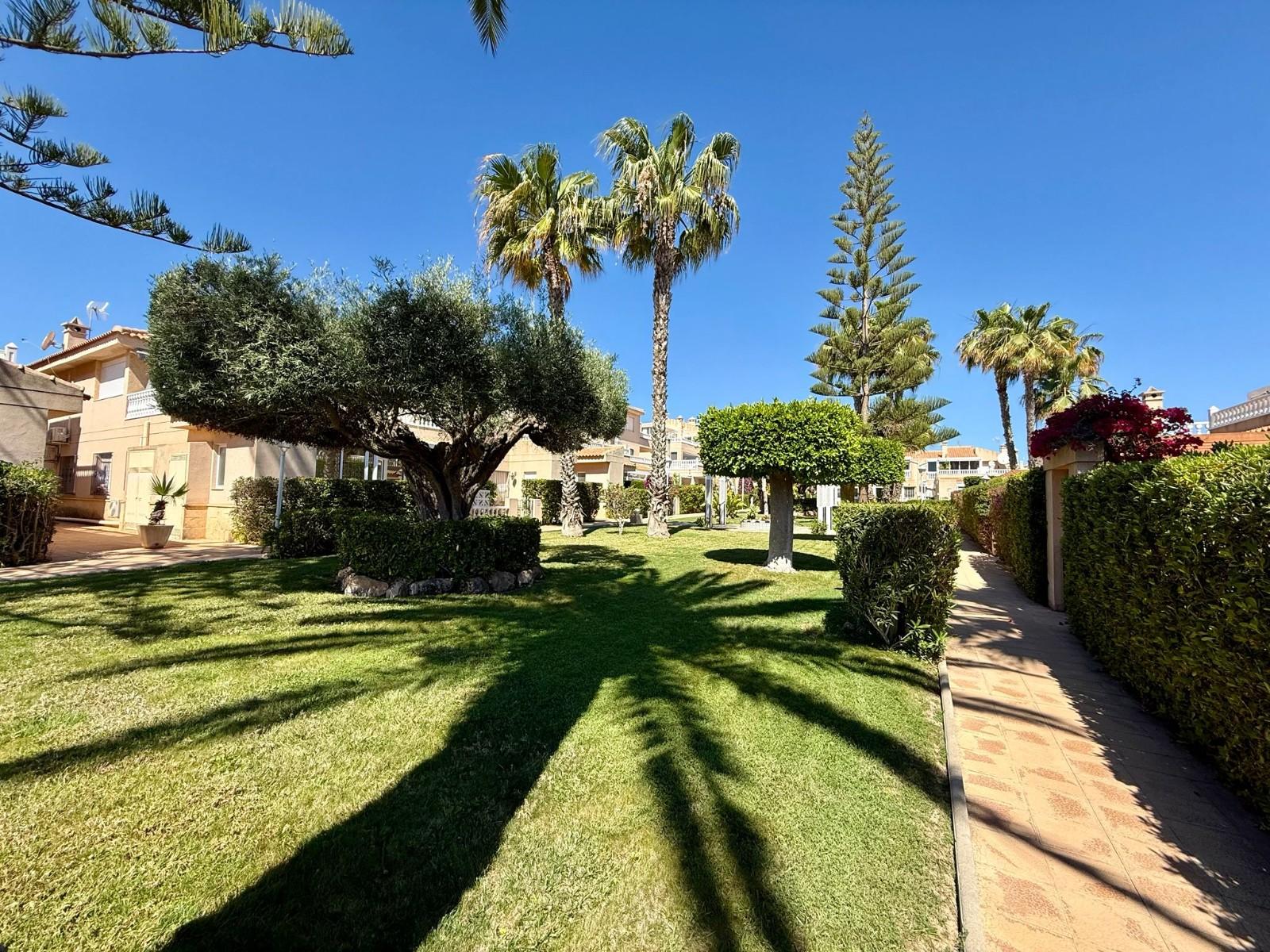 Pareado en Venta en Orihuela