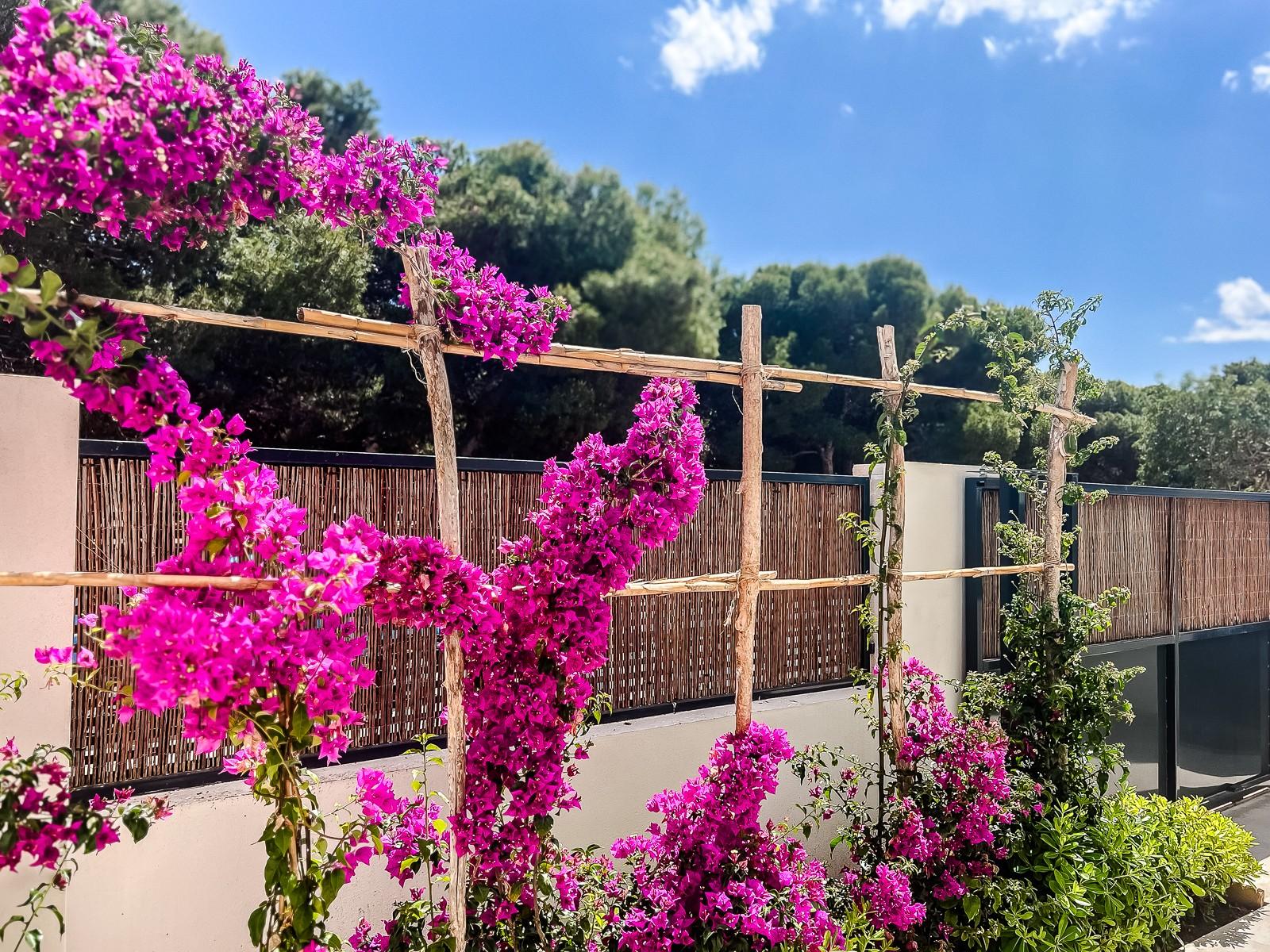 Apartment for Sale in San Javier