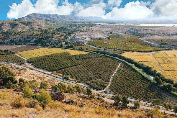 Villa for Sale in Calasparra