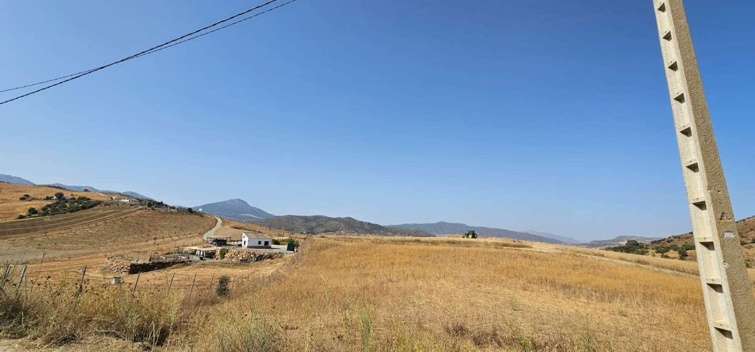 Villa for Sale in Cártama