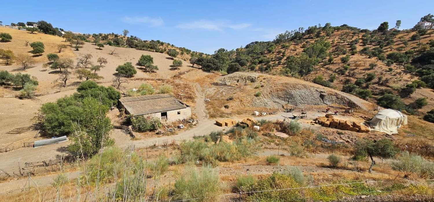 Villa en Venta en Cártama