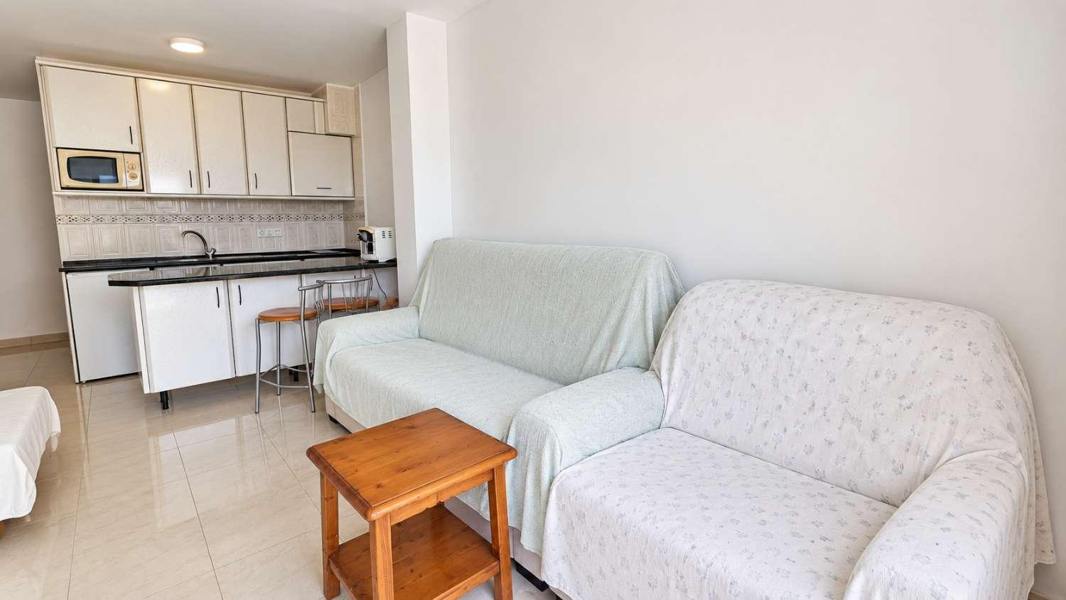 Studio for Sale in Torremolinos