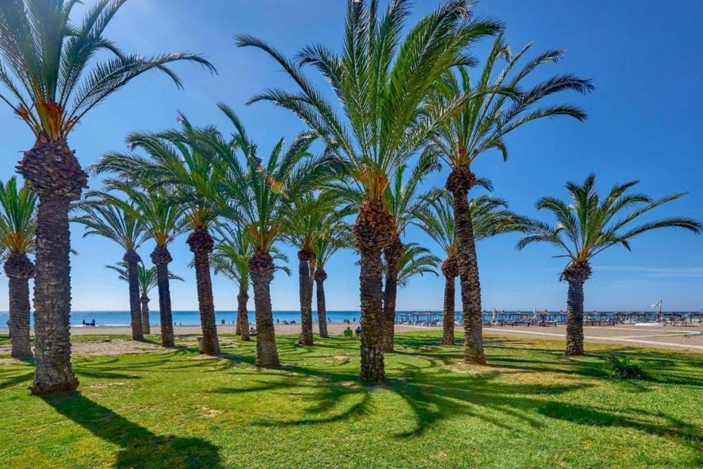 Studio for Sale in Torremolinos