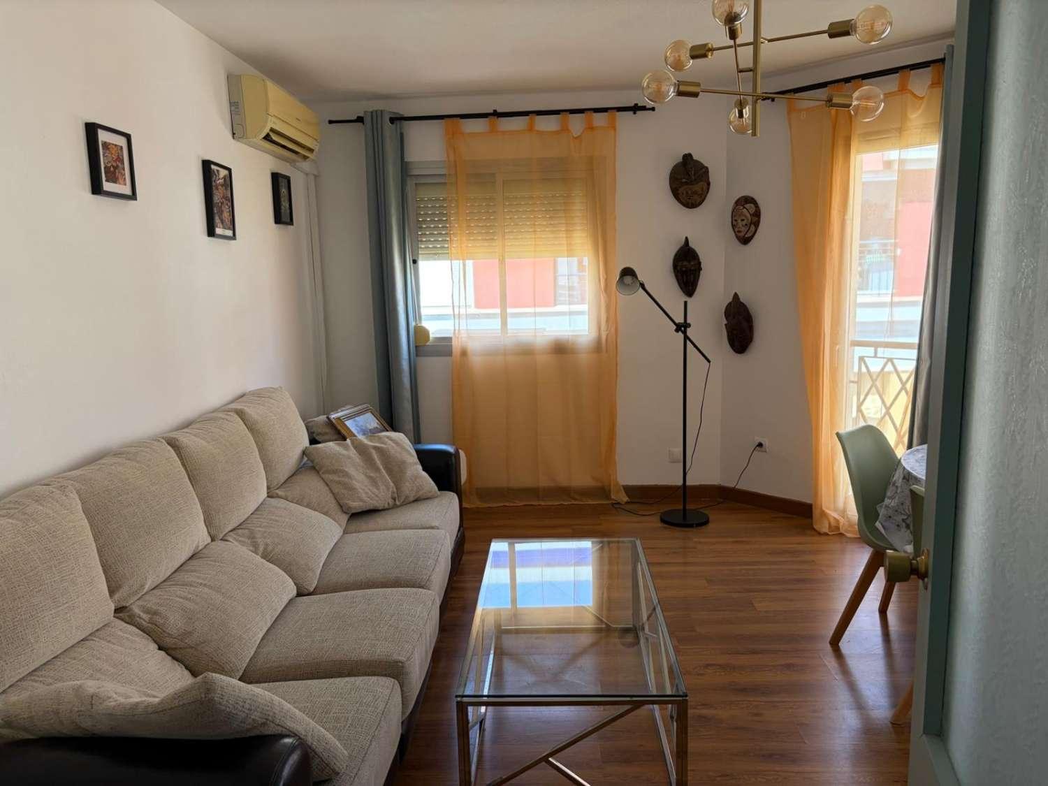 Flat for Rent in Málaga