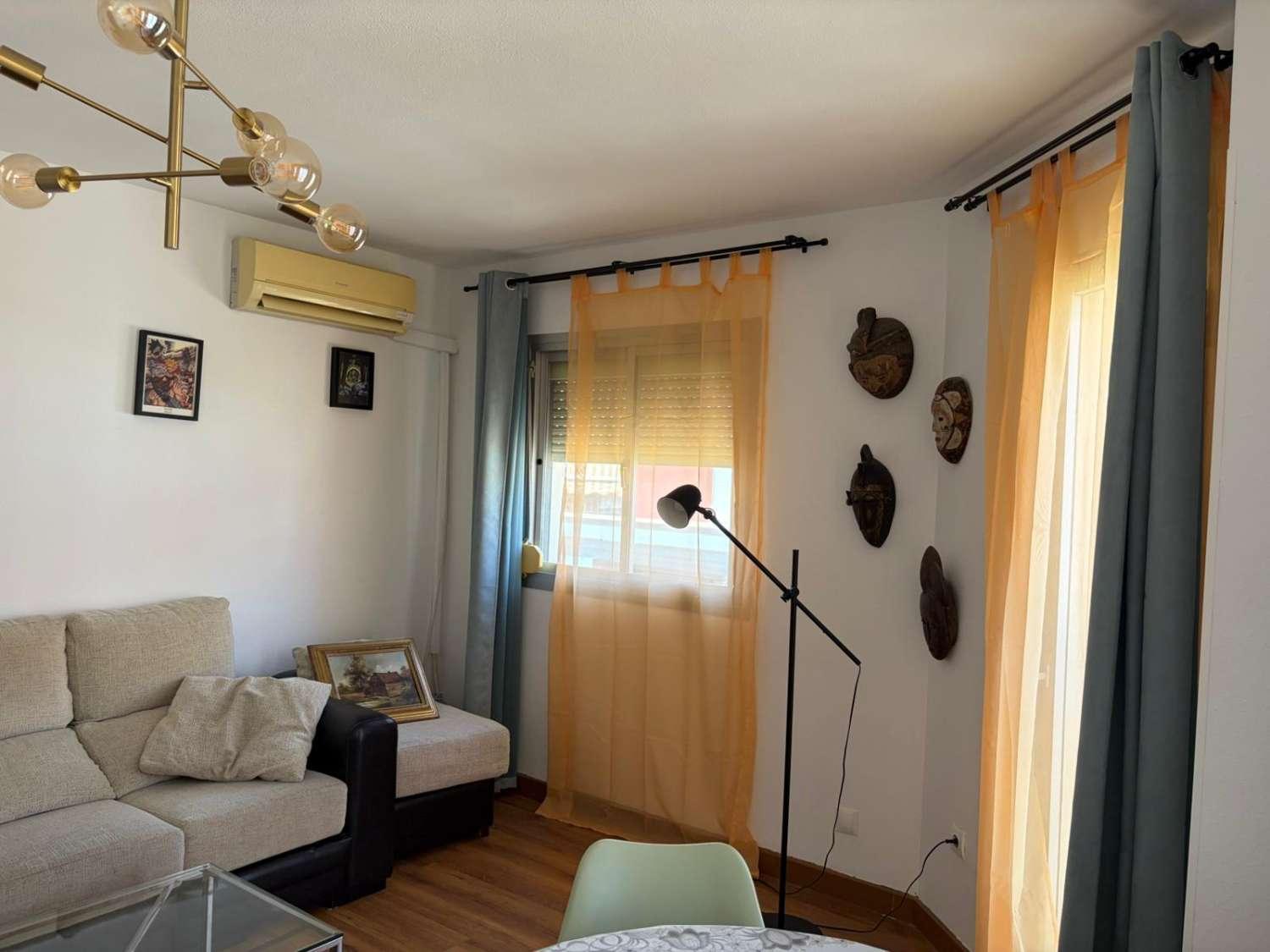 Flat for Rent in Málaga