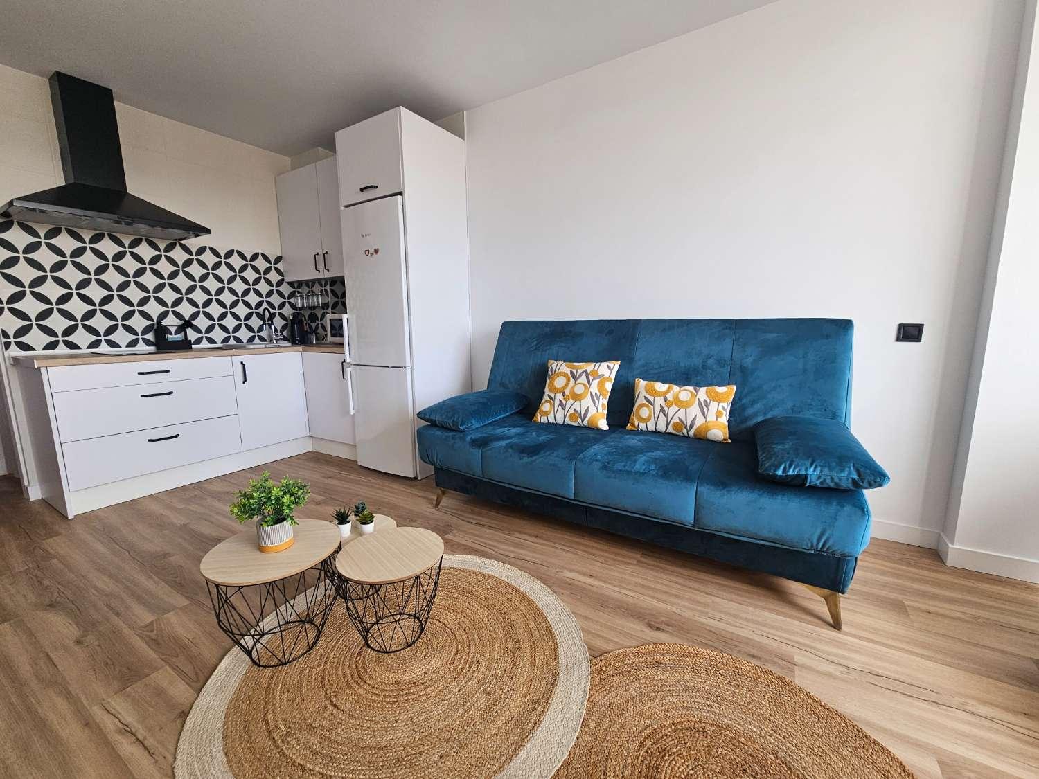 Studio for Rent in Torremolinos