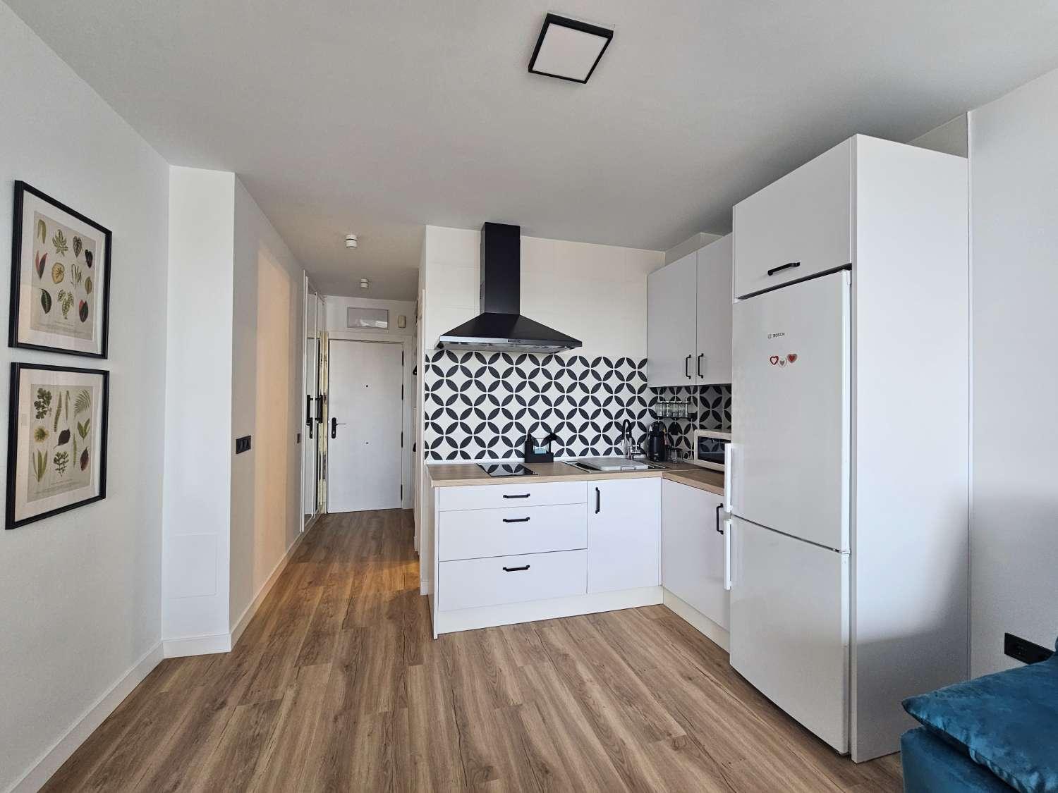 Studio for Rent in Torremolinos