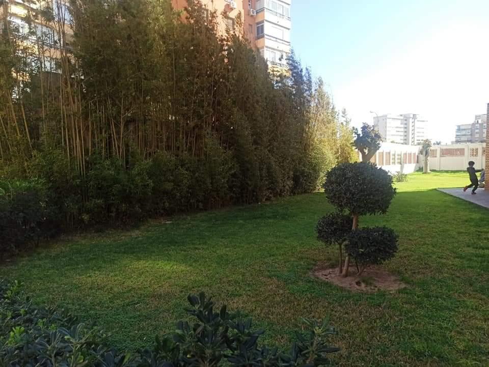 Studio for Sale in Torremolinos