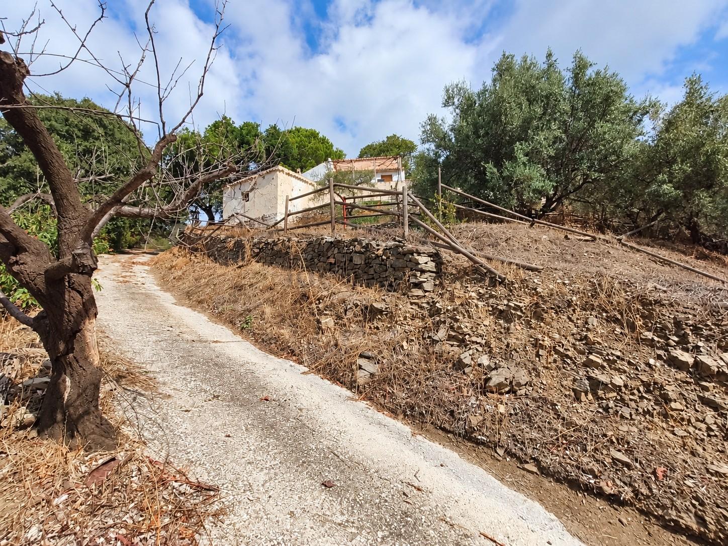 Villa for Sale in Cómpeta
