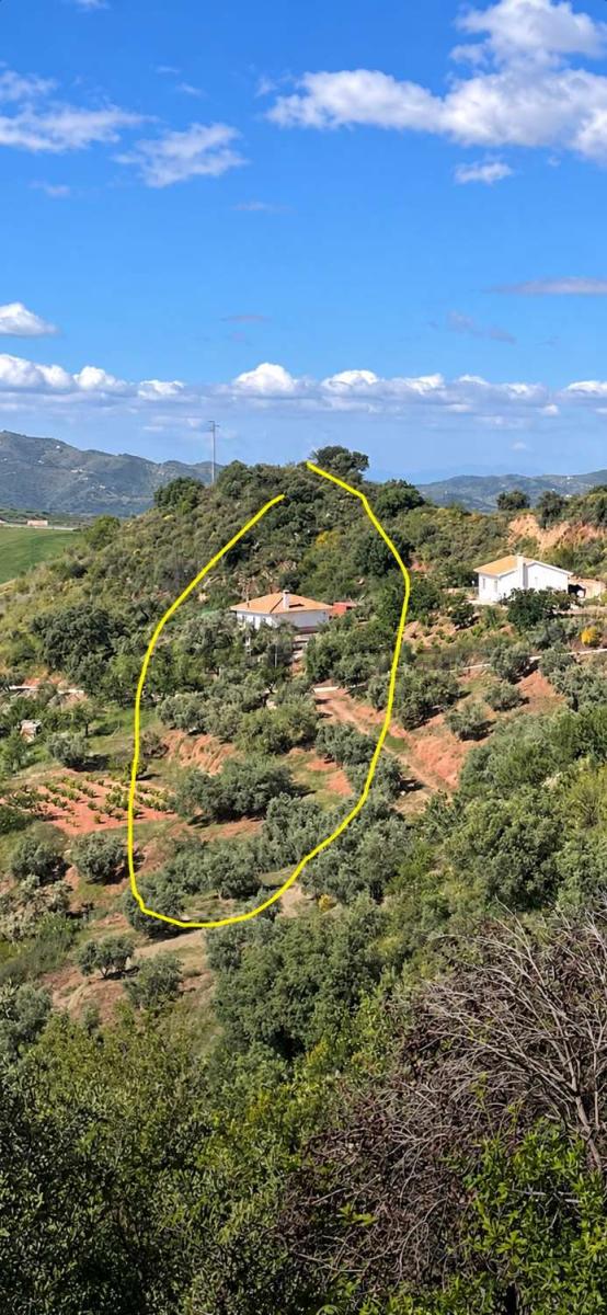 Villa en Venta en Colmenar