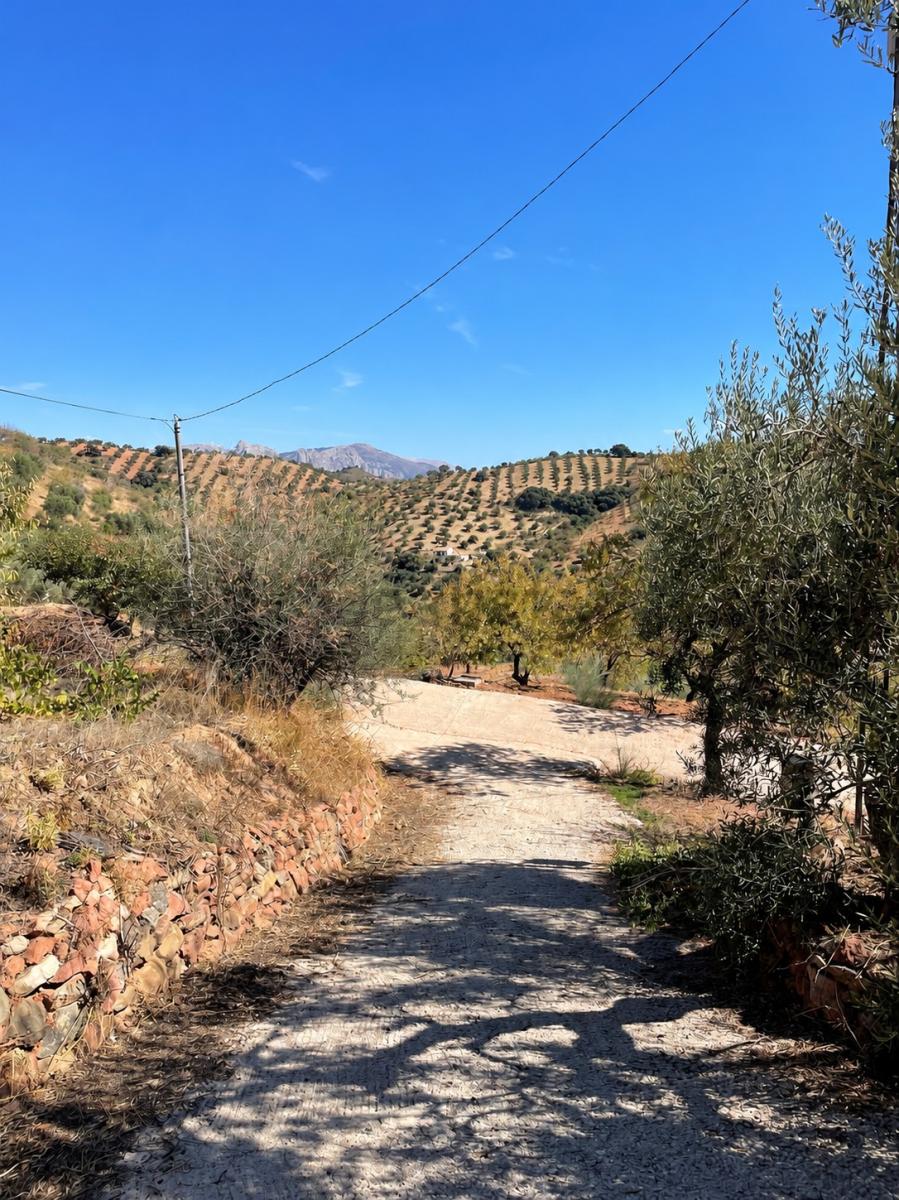 Villa en Venta en Colmenar