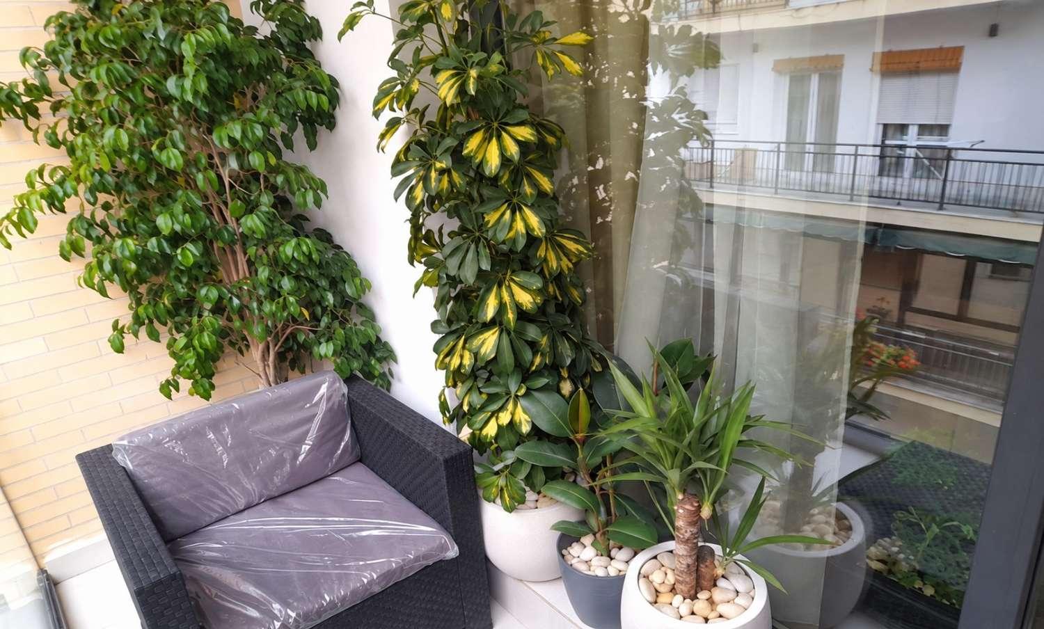 Ático en Venta en Málaga