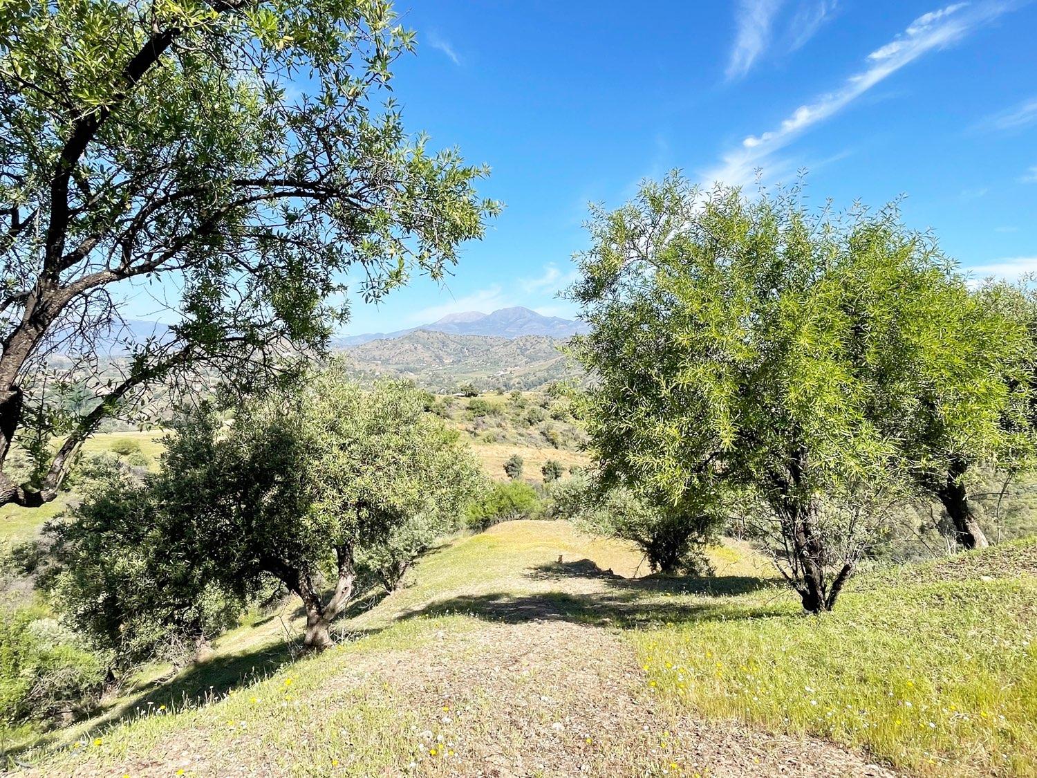 Casa en Venta en Coín