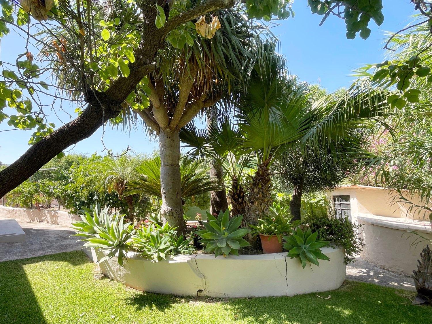 Finca en Venta en Mijas
