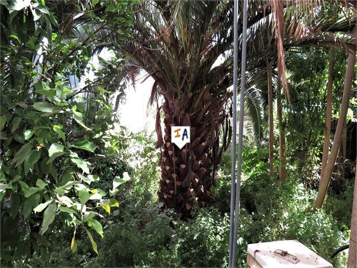 House for Sale in Alcaudete