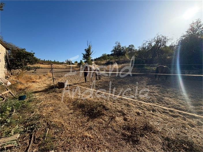 Villa for Sale in Mures