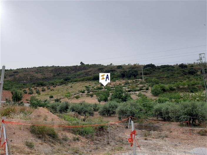 Parcela en Venta en Castillo de Locubín