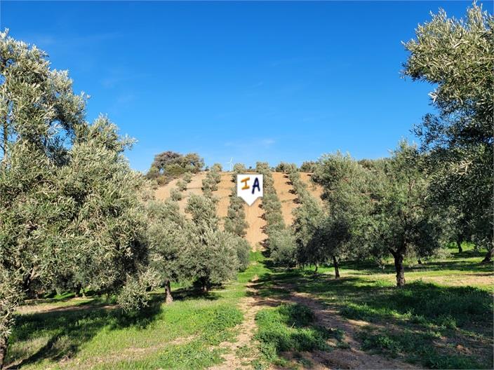 Villa for Sale in Osuna