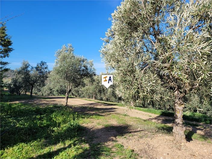 Villa for Sale in Osuna