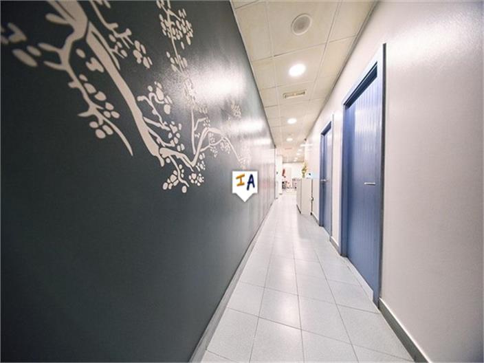 Premise for Sale in Granada